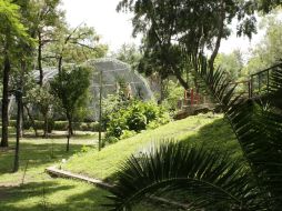 En el Parque Agua Azul hay Marioposario, Aviario y otras diversas actividades. EL INFORMADOR / ARCHIVO