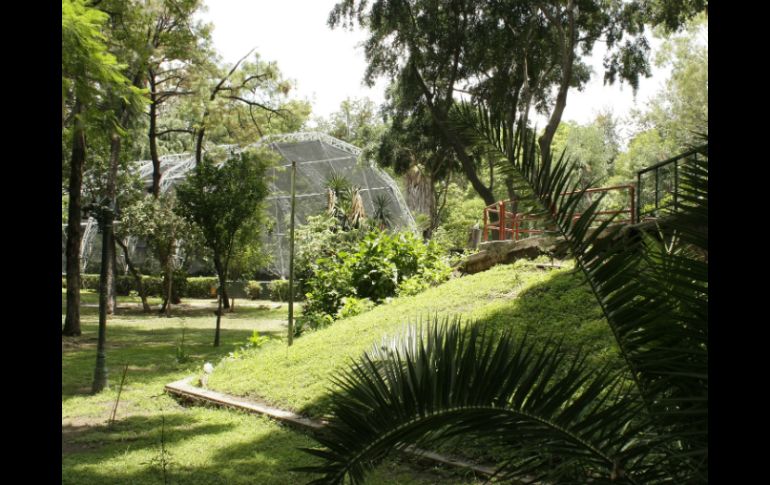 En el Parque Agua Azul hay Marioposario, Aviario y otras diversas actividades. EL INFORMADOR / ARCHIVO