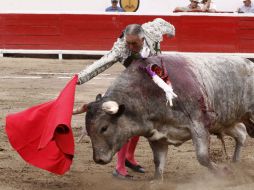 En 2014, Rodolfo Rodríguez 'El Pana' toreó por primera vez en Francia, en Saint Vicent de Tyrosse. NTX /