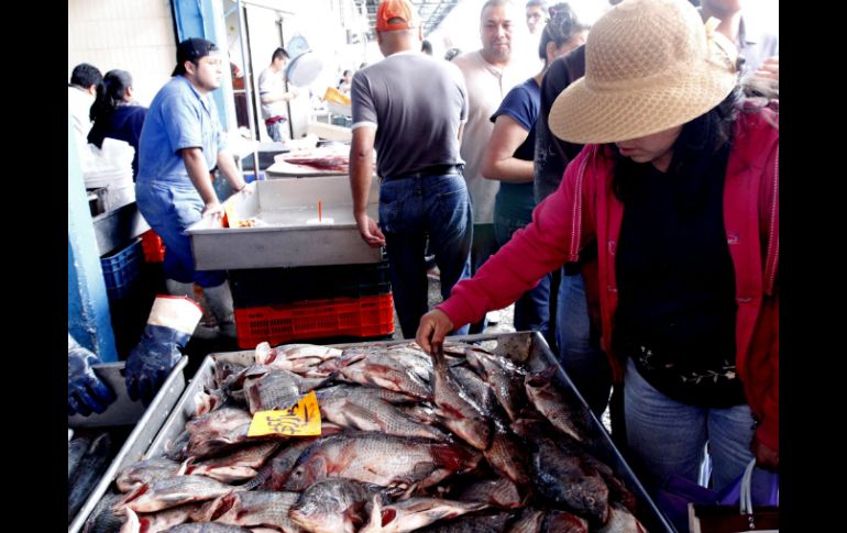 Durante la Cuaresma, entre las especies de mayor abundancia, se encuentran sardina, atún, calamar y pulpo. NTX / ARCHIVO