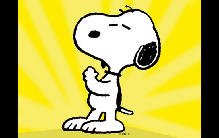 Snoopy es un beagle y aunque son raros, sí existen beagles blancos con negro como él. TWITTER / @Snoopy