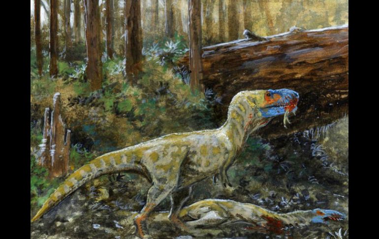 El canibalismo en las especies es relativamente común, y en 2010 se descubrió que los T. Rex también pudieron ser caníbales. TWITTER / @scinewscom