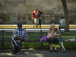 La iniciativa además pretende motivar a quien conozca de un caso de maltrato o abandono pueda denunciarlo ante las autoridades. EL INFORMADOR / ARCHIVO