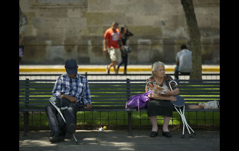 La iniciativa además pretende motivar a quien conozca de un caso de maltrato o abandono pueda denunciarlo ante las autoridades. EL INFORMADOR / ARCHIVO