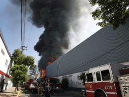 Bomberos y elementos de Protección Civil y policías preventivos evacuaron a los trabajadores de la cervecería. AFP / A. Estrella