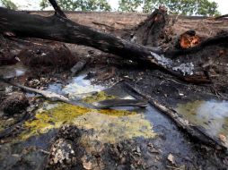 Dos personas murieron en el momento de la explosión mientras recogían el combustible derramado en la volcadura de la pipa. SUN / ARCHIVO