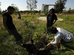 Estudiantes, profesionistas y otros voluntarios se reúnen todos los sábados para realizar distintas actividades de conservación. EL INFORMADOR / ARCHIVO