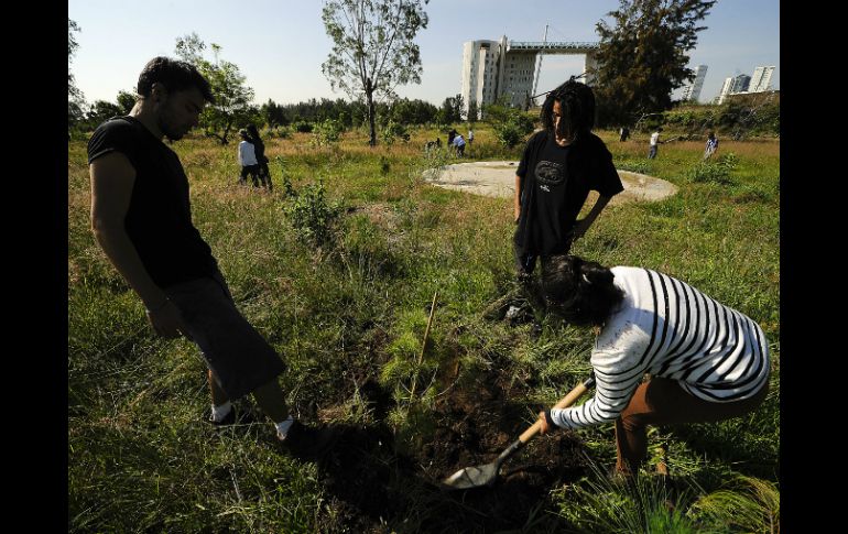 Estudiantes, profesionistas y otros voluntarios se reúnen todos los sábados para realizar distintas actividades de conservación. EL INFORMADOR / ARCHIVO