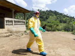 La epidemia que comenzó en diciembre del 2013 ha dejado unos 11 mil muertos, según datos de la OMS. AFP / ARCHIVO