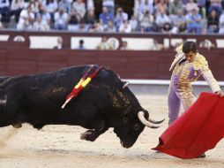 Adame brindó con su segundo rival una faena bien estructurada, emotiva, lucida y valiente. EFE / F. Alvarado