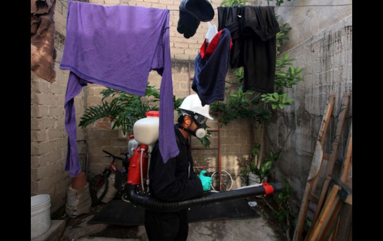 Piden a la población que reduzcan los depósitos de agua que puedan servir como medio de reproducción del dengue. AFP / ARCHIVO