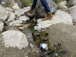 Más del 40 por ciento de los bosques se ha perdido. EL INFORMADOR / ARCHIVO