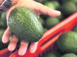 Exportación. Entre los productos comercializados al país asiático está el aguacate. EL INFORMADOR /