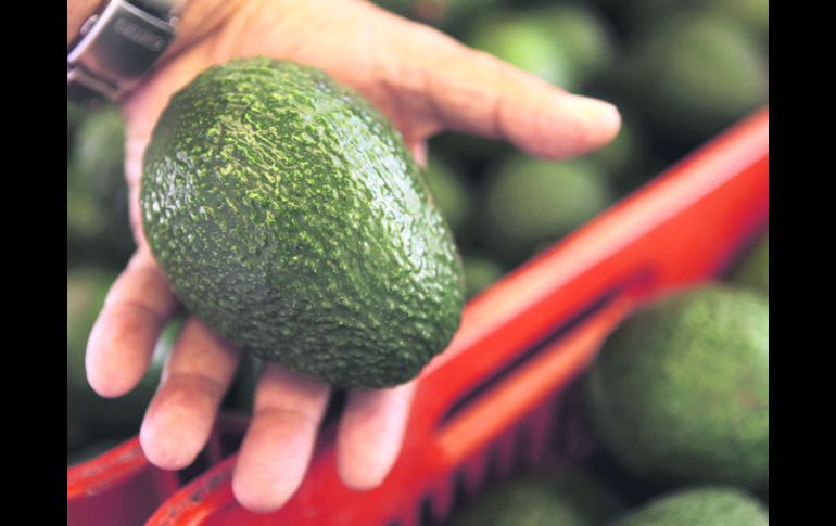 Exportación. Entre los productos comercializados al país asiático está el aguacate. EL INFORMADOR /