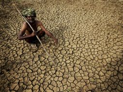 Vientos secos y calientes en el norte y centro del país marchitan las plantas y obligan a la gente a evitar las salidas. EFE / N. Jagadeesh