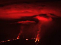 El volcán Wolf entró en erupción la mañana del lunes tras casi 33 años de inactividad. AFP / X. García