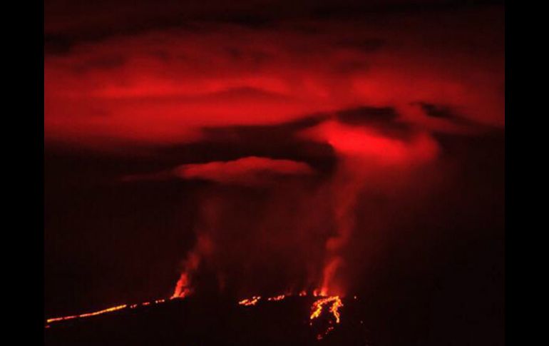 El volcán Wolf entró en erupción la mañana del lunes tras casi 33 años de inactividad. AFP / X. García