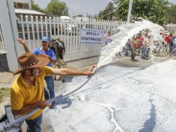 Los productores señalan que los 12 mil litros de leche de este martes, significan 72 mil pesos tirados a la calle. EL INFORMADOR / F. Atilano