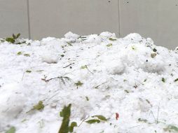 La granizada atípica golpeó el campo en el municipio de Pinos, Zacatecas. NTX / ARCHIVO