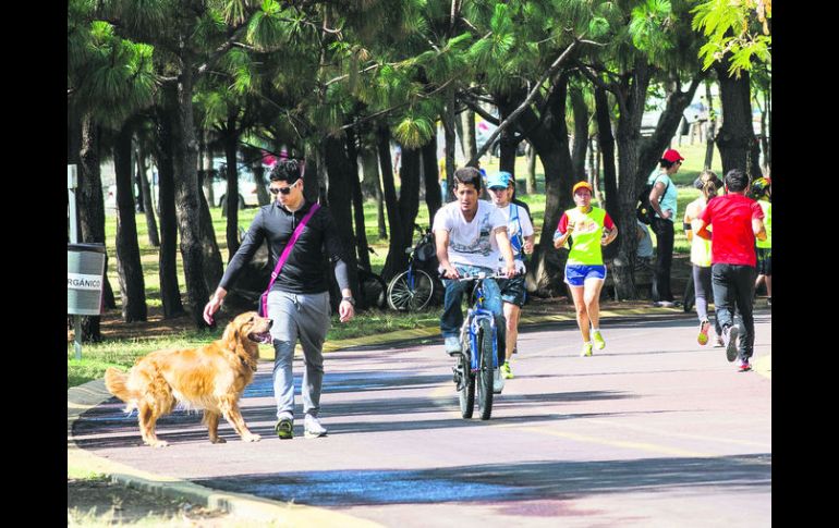 Cuidado. Hasta abril se habían registrado 13 accidentes con bicicletas. EL INFORMADOR / P. Franco