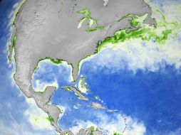 La Unesco destacó la necesidad de desarrollar soluciones innovadoras en materia de energía, alimentación y transportes marítimos. AFP / NASA