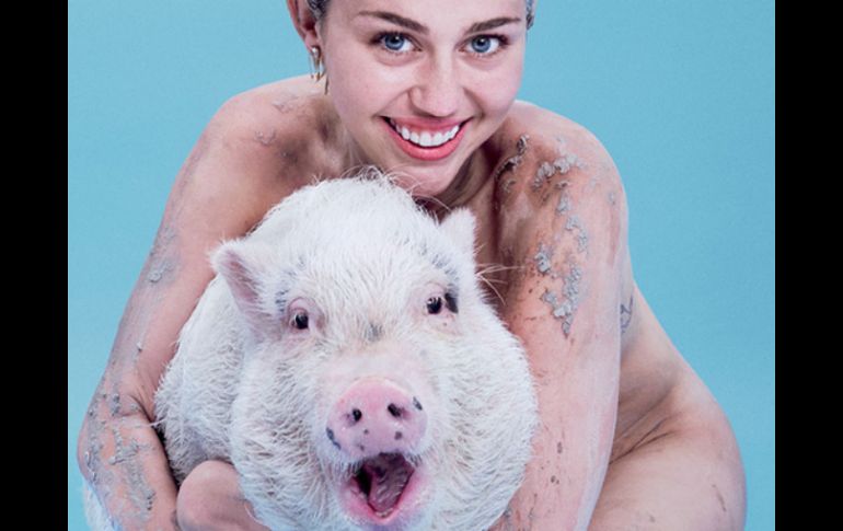 En la portada, aparece Cyrus desnuda junto a su mascota, una cerda llamada 'Bubba Sue'. TWITTER / @papermagazine