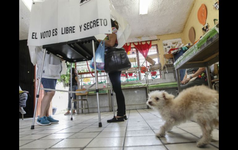 En las elecciones intermedias de este año se registró una menor participación en comparación con la de 2009. EL INFORMADOR / ARCHIVO