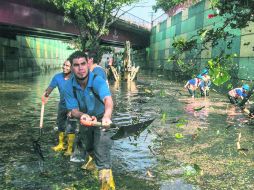 Cuadrillas del SIAPA y Protección Civil de Jalisco retiraron ayer hojas, ramas y basura del túnel ubicado en Niños Héroes e Inglaterra. EL INFORMADOR / R. Tamayo