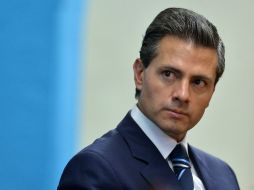 Peña Nieto enfatiza que hoy la humanidad enfrenta el reto de incrementar la producción sustentable de alimentos. AFP / T. Fabi