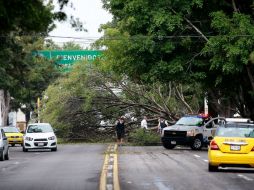 Buscan evitar que hechos como el de la foto, ocurrido en Avenida Mariano Otero durante el último temporal, se repitan. EL INFORMADOR / P. Franco