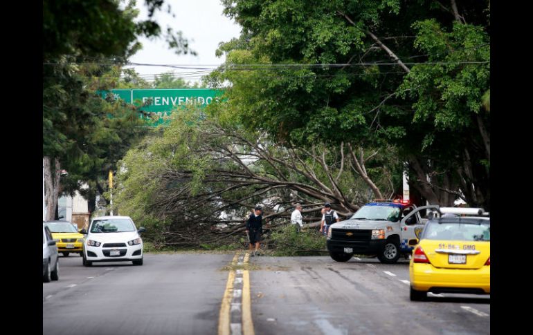 Buscan evitar que hechos como el de la foto, ocurrido en Avenida Mariano Otero durante el último temporal, se repitan. EL INFORMADOR / P. Franco