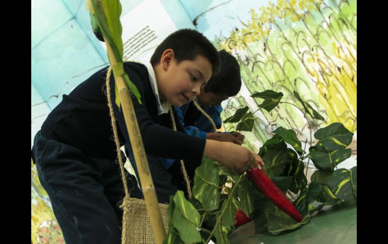 La naturaleza ayuda a niños y adultos a disminuir estrés y realizar mejor tareas mentales. EL INFORMADOR / ARCHIVO