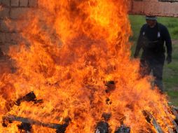 Los cigarros están considerados dentro de una alerta sanitaria, ya que no cumplían con la normatividad en la materia. SUN / ARCHIVO