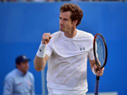 Murray pretende ocupar el trono del torneo Aegon Championships de Queen's por cuarta ocasión. AFP / L. Neal