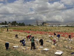 Después de 22 años de ocupación, Israel continúa violando a la soberanía libanesa. AP / ARCHIVO