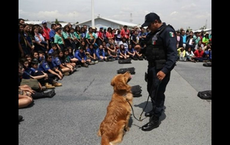 Durante el evento se llevó a cabo el Abanderamiento de más de 500 scouts de entre 14 y 17 años. ESPECIAL / ssp.gob.mx