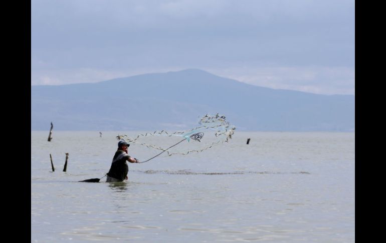 El lago suma 10 centímetros de recuperación en el presente temporal. EL INFORMADOR / ARCHIVO