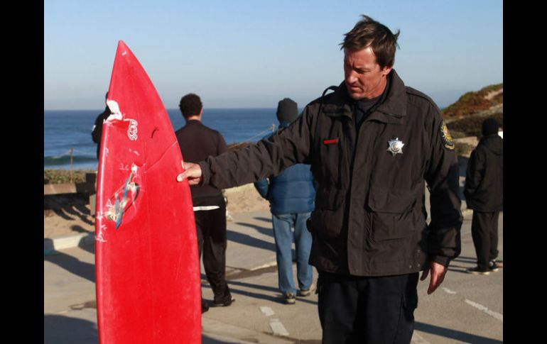 Un surfista japonés de 41 años murió tras ser atacado por un escualo en la misma región hace algunos meses. AP / ARCHIVO