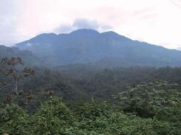 La Biósfera es un volcán que presenta una gran biodiversidad, es una cumbre máxima de Chiapas, con más de seis mil hectáreas. ESPECIAL / unesco.org.uy