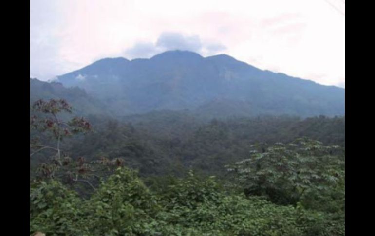 La Biósfera es un volcán que presenta una gran biodiversidad, es una cumbre máxima de Chiapas, con más de seis mil hectáreas. ESPECIAL / unesco.org.uy