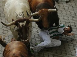 En esta ocasión los toros pesan entre 605 y 515 kilos. AP / D. Ochoa