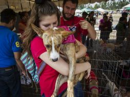 Todas las mascotas merecen una familia que los llene de amor y que valore los beneficios que ellos brindan. EL INFORMADOR / ARCHIVO