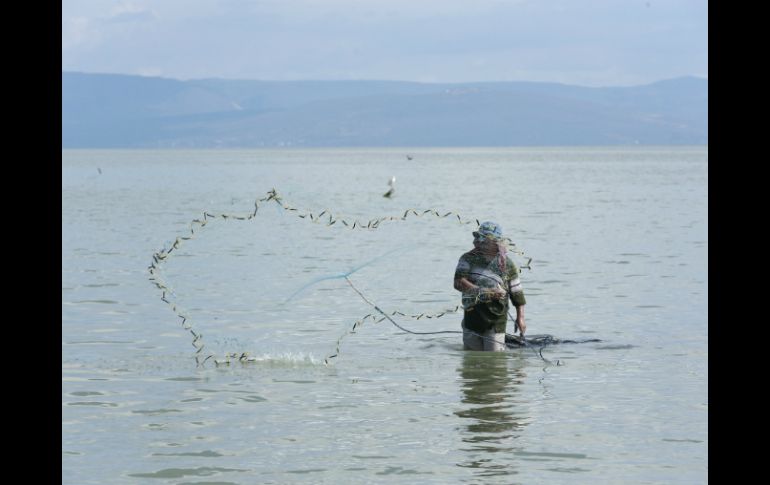 La Procuraduría asistirá junto con la Conanp para aplicar las medidas necesarias para garantizar que la pesca realizada sea legal. EL INFORMADOR / ARCHIVO