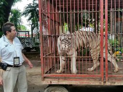 En conferencia de prensa, el titular de la Profepa recuerda que los circos que incluyan animales recibirán sanciones económicas. EFE / ARCHIVO