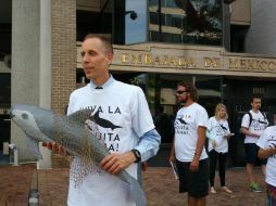 Activistas se congregaron frente a la embajada mexicana para pedir una prohibición permanente del comercio de las especies. TWITTER / @greenpeaceusa