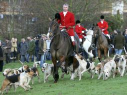 La norma permitiría usar una jauría de perros para sacar al zorro de su guarida. AP / ARCHIVO