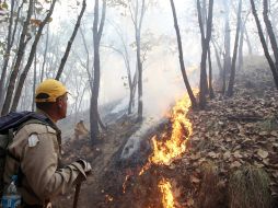 Por encima del 80 por ciento de las zonas dañadas por el fuego son de vegetación herbácea y arbustiva. NTX / ARCHIVO