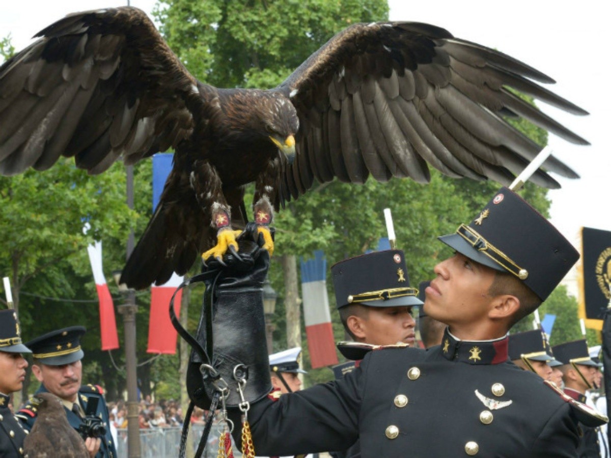 Elogian desfile de 'Águilas' mexicanas en Día Nacional de Francia | El  Informador