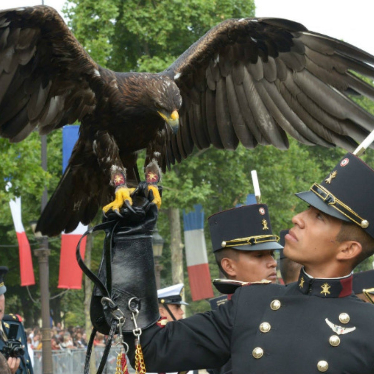 Elogian desfile de 'Águilas' mexicanas en Día Nacional de Francia | El  Informador