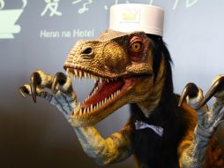 El robot recepcionista que habla inglés tiene la apariencia de un dinosaurio. AP / S. Kambayashi